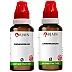 BJain Cinnamomum 1X (Q) (30ml, Pack of 2)