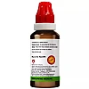BJain Cinnamomum 1X (Q) (30ml, Pack of 2)