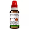 BJain Echinacea Angustifolia 1X (Q) (30ml, Pack of 2)