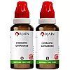 BJain Hydrastis Canadensis 1X (Q) (30ml, Pack of 2)
