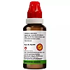 BJain Juglans Regia 1X (Q) (30ml, Pack of 2)