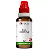 BJain Thuja Occidentalis 1X (Q) (30ml, Pack of 2)