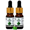 Hillpure Organic Peppermint Essential Oil (10ml, Pack of 2)