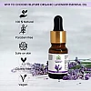 Hillpure Organic Lavender Essential Oil (10ml, Pack of 2)