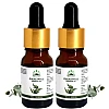 Hillpure Organic Eucalyptus Essential Oil (10ml, Pack of 2)