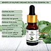 Hillpure Organic Eucalyptus Essential Oil (10ml, Pack of 2)