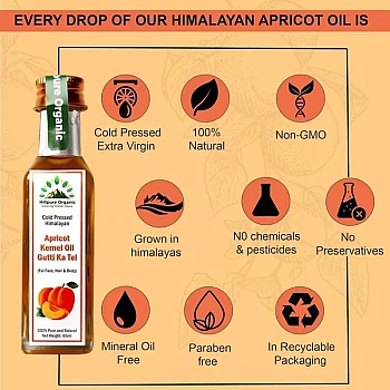 Hillpure Organic Apricot Kernel Oil Gutti Ka Tel (65g, Pack of 2)