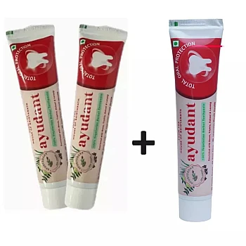 Baidyanath Ayurvedant Ayudant Herbal Toothpaste Pack of 2 (100g, Pack of 2)