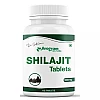 Dr Satnam's Arogyam Ayurveda Shilajit Tablets (60tab)
