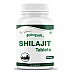 Dr Satnam's Arogyam Ayurveda Shilajit Tablets (60tab)