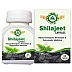 Agron Ayurveda Shilajeet Capsules (60caps)