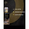 Faun Walk Celestial Noir Similar to Wanted By Night Perfume (Buy 1 Free Get 1) (Buy 1 Perfume 50ml Get Free 20ml Perfume) (1Pack)