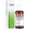 Dr Reckeweg R29 (Theridon) (22ml)