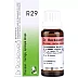 Dr Reckeweg R29 (Theridon) (22ml)