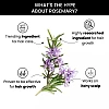 ThriveCo Rosemary Essential Oil (15ml)