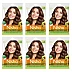 Nisha Creme Hair Color 3.5 Chocolate Brown (40g, Pack of 6)