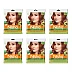 Nisha Creme Hair Color 4.3 Golden Brown (Pouch Pack) (Colorant 20g + Developer 20ml) (40g, Pack of 6)