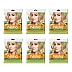 Nisha Creme Hair Color Ultra Blonde (50g, Pack of 6)