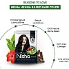 Nisha Henna Based Hair Color Natural Black Powder 1.00 (10g, Pack of 10)