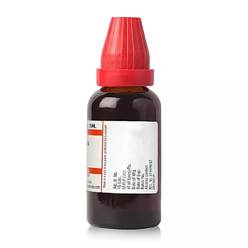 Willmar Schwabe India Phyllanthus Niruri 1X (Q) (30ml)