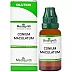 Medisynth Conium Maculatum 200 CH (30ml)