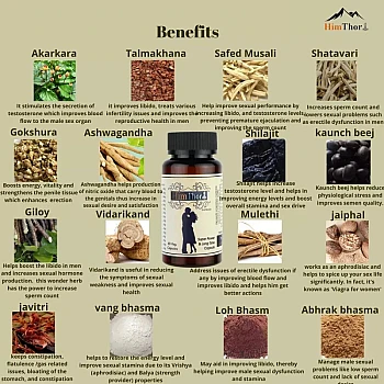 Himthor Shilajit and Power Capsule (Each 60caps) (1Pack)