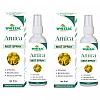 Wheezal Arnica Mist Spray (30ml, Pack of 2)