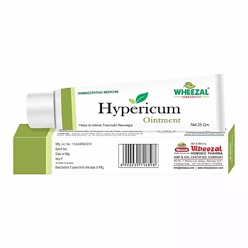 Wheezal Hypericum Ointment (25g, Pack of 2)
