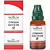 Medisynth Cynodon Dactylon 1X (Q) (30ml)