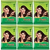 Neeta Mehendi Powder (100g, Pack of 6)