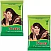 Neeta Mehendi Powder (150g, Pack of 2)