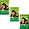 Neeta Mehendi Powder (150g, Pack of 3)