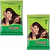 Neeta Mehendi Powder (200g, Pack of 2)