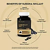 Ayuearth Suddha Shilajit Tablet (60tab)