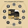 Ayuearth Suddha Shilajit Tablet (60tab)