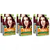 Nisha Creme Hair Color 3.16 Burgundy (Colorant 20g + Developer 20ml) (1Pack, Pack of 6)