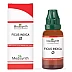 Medisynth Ficus Indica 1X (Q) (30ml)
