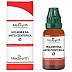 Medisynth Holarrhena Antidysenterica 1X (Q) (30ml)