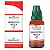 Medisynth Mangifera Indica 1X (Q) (30ml)