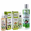 Nature Nuskha Hair Fitness Nourishing Mist Spray + Hair Fitness Oil Plus + Hair Fitness Onion Shampoo (100ml + 100ml + 250ml) (1Pack)