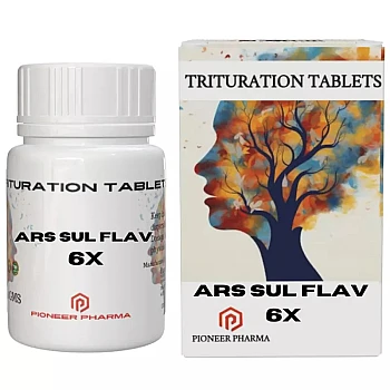 Pioneer Ars Sul Flav 6X (25g)