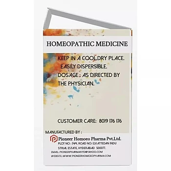 Pioneer Ars Sul Flav 6X (25g)