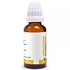 Pioneer Berberis Vulgaris 1X (Q) (30ml)