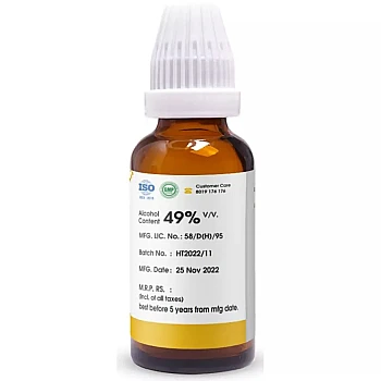 Pioneer Cactus Grandiflorus 1X (Q) (30ml)