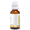 Pioneer Chelidonium Majus 1X (Q) (30ml)