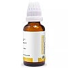 Pioneer Emblica Officinalis 1X (Q) (30ml)