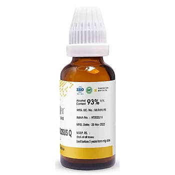 Pioneer Fucus Vesiculosus 1X (Q) (30ml)