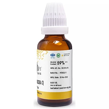 Pioneer Ginkgo Biloba 1X (Q) (30ml)