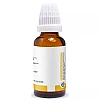 Pioneer Rhus Toxicodendron 1X (Q) (30ml)