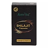 Amrita Shilajit (60cap)